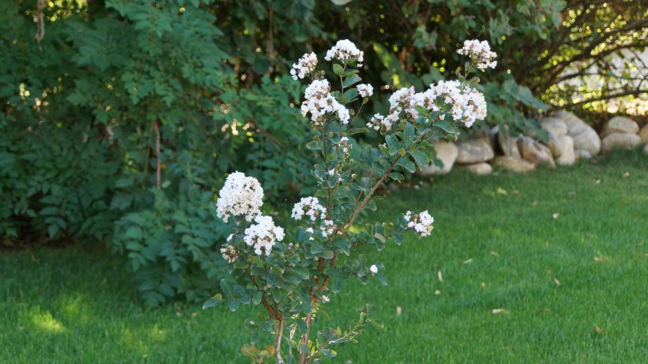 De Charme L'orée Du Parc 4*