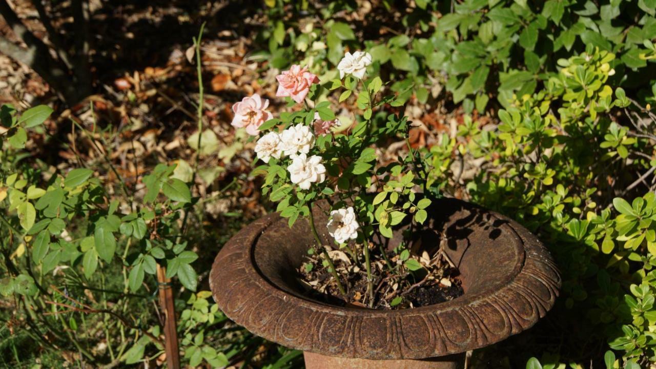 De Charme L'oree Du Parc 4*